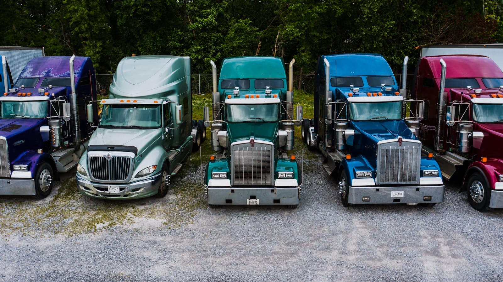 AUCKLAND FREIGHT SOLUTIONS — photograph 4