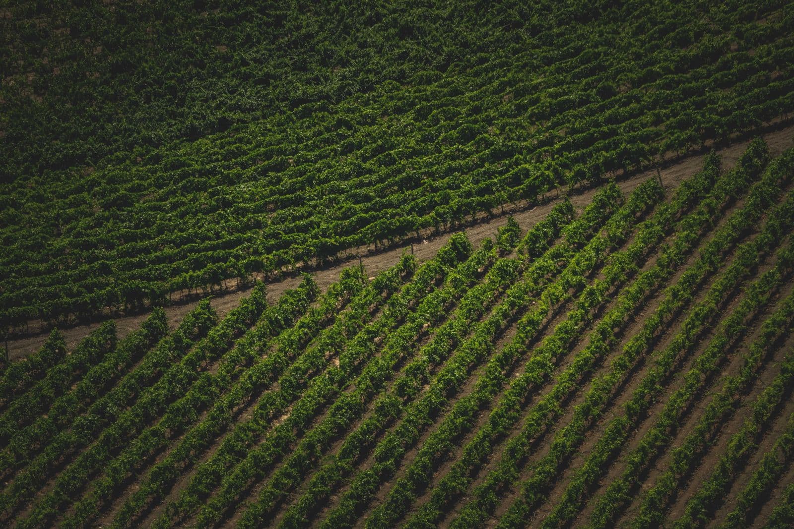 Agriculture & Farming — image 2