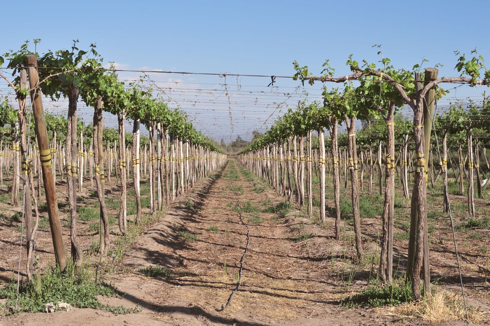 Agriculture & Farming — image 3