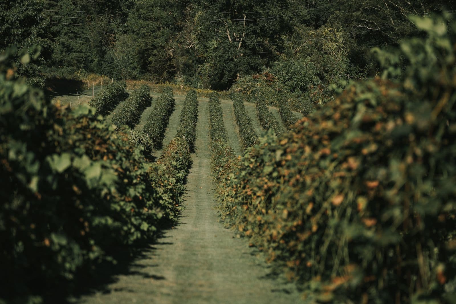 Agriculture & Farming — image 5