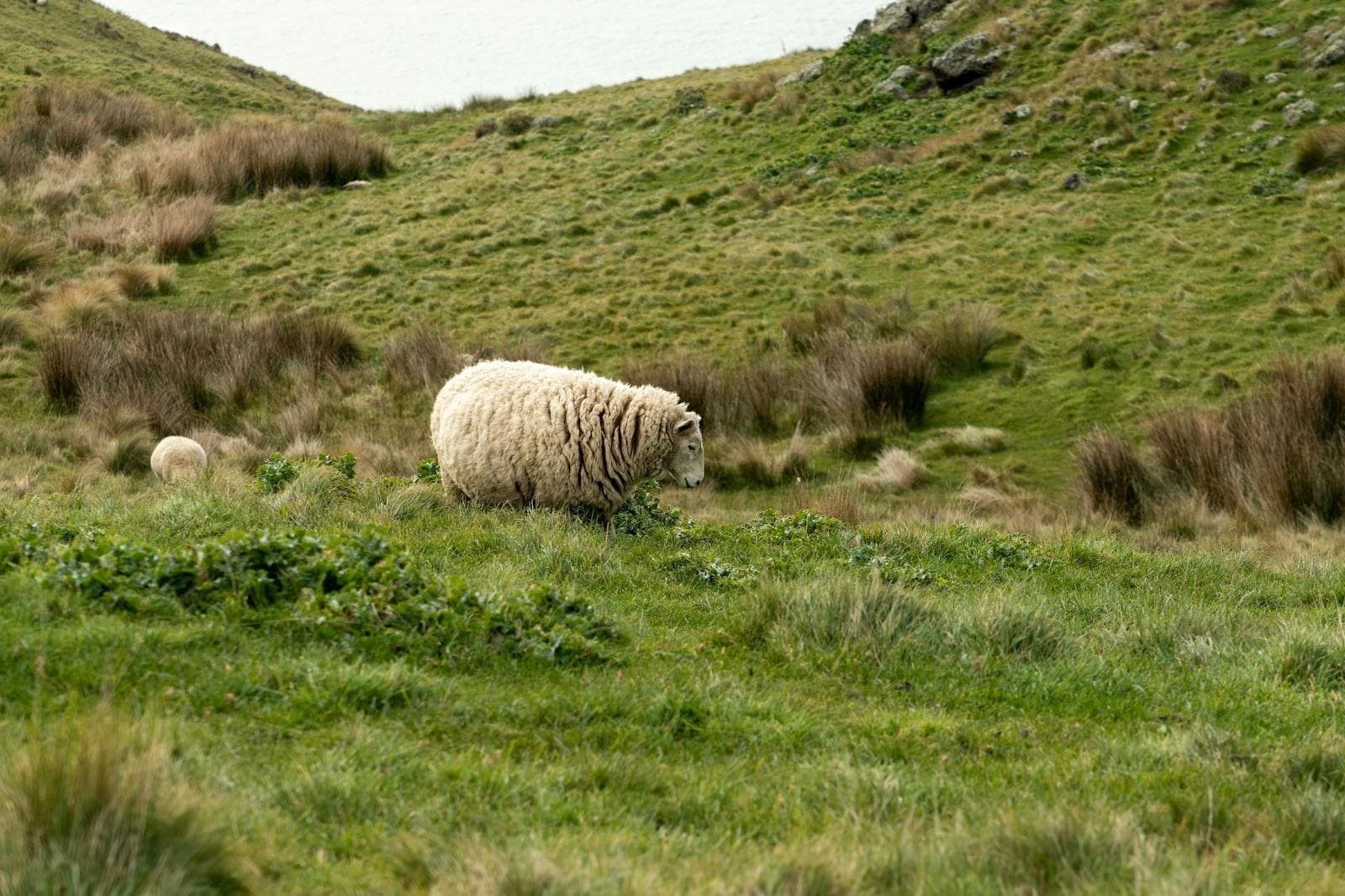 Agriculture & Farming — image 6