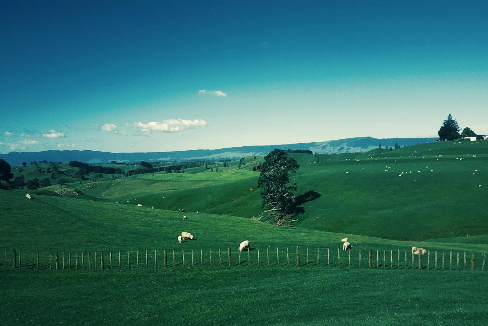 Agriculture & Farming — image 8