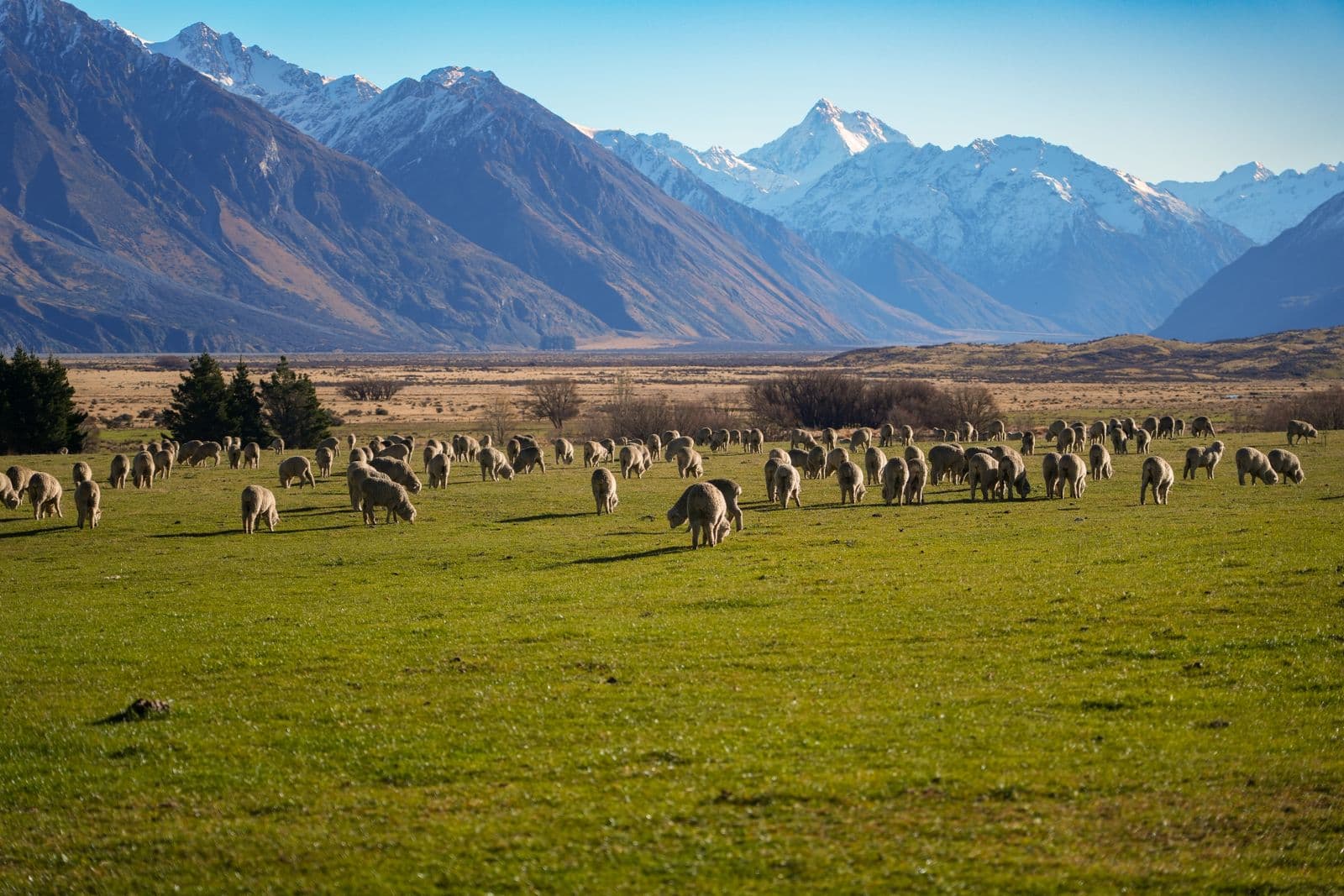 Agriculture & Farming — image 9