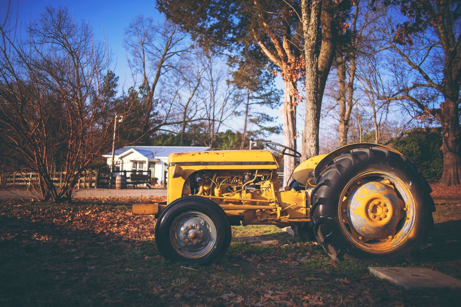 Agriculture & Farming — image 11