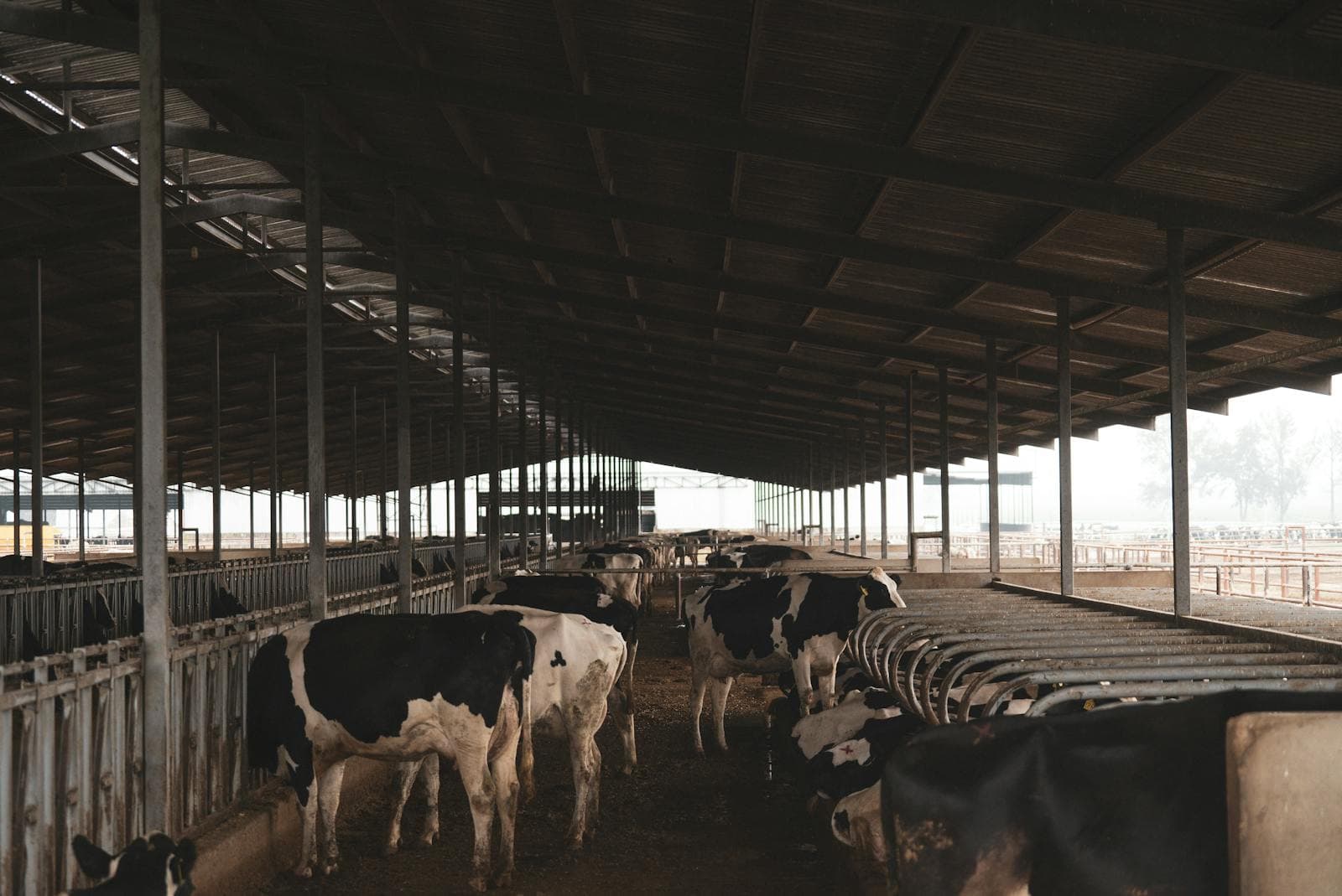 Dairy & Food Production — image 9