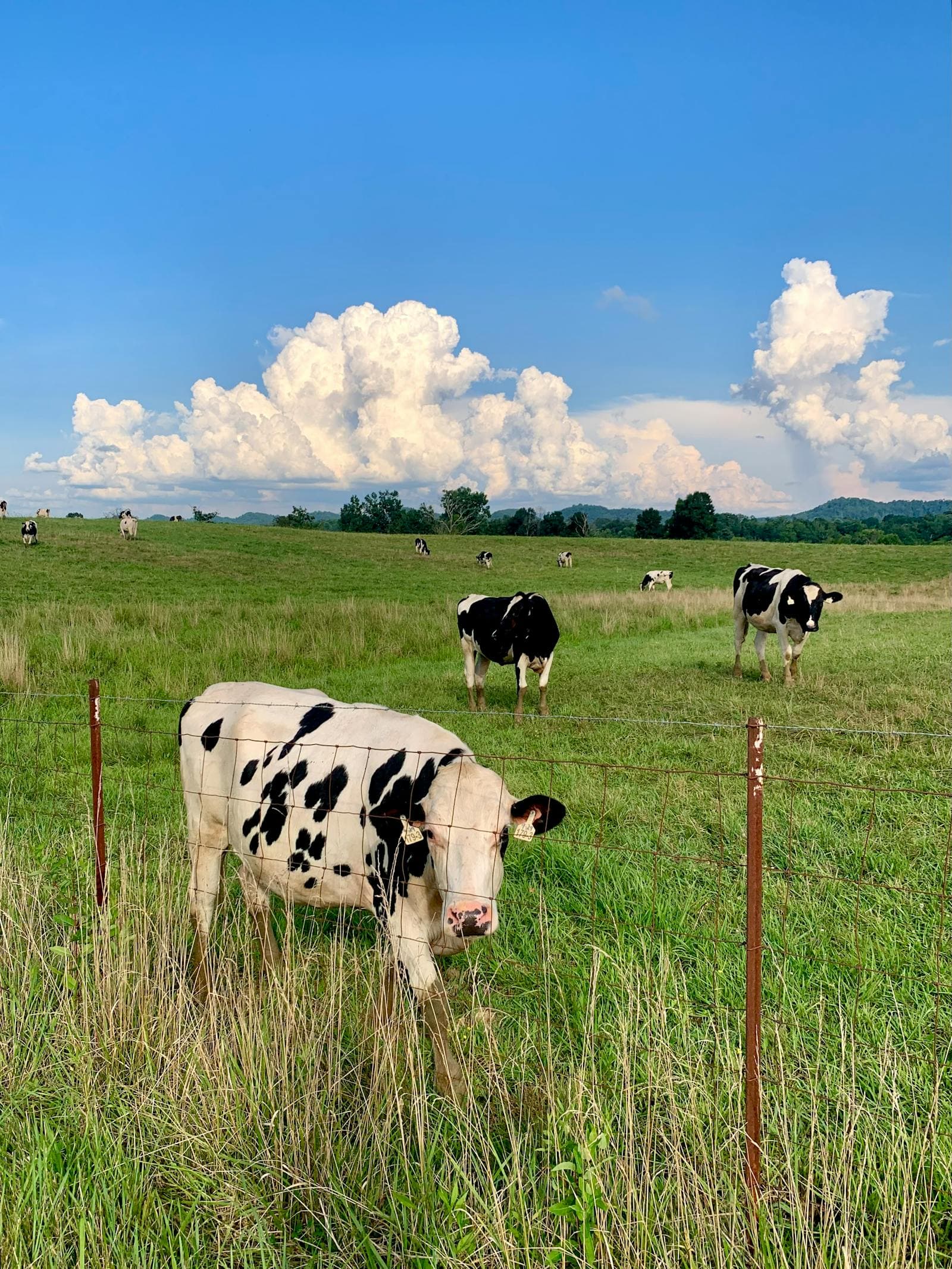 Dairy & Food Production — image 13