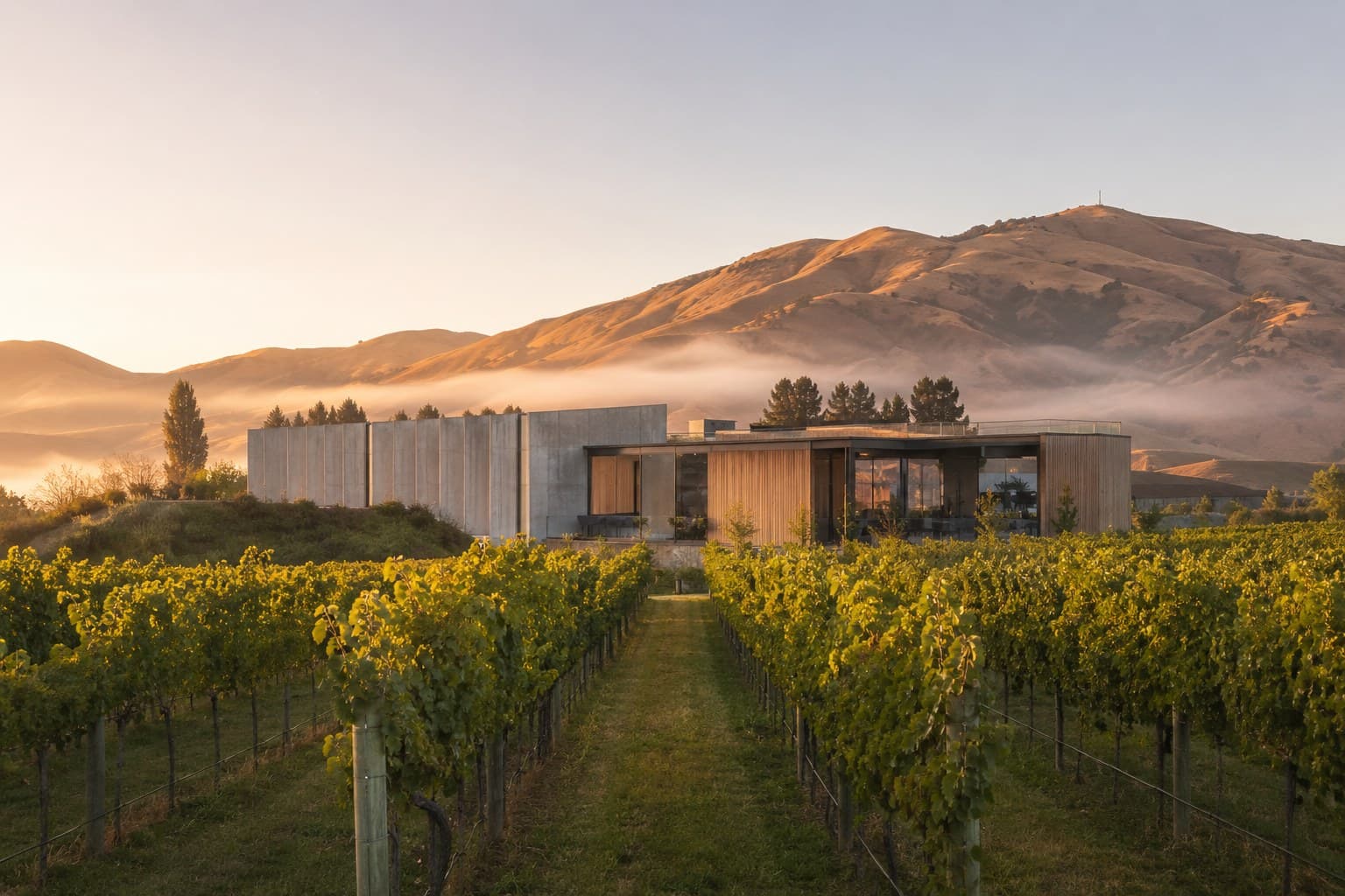 HAWKE'S BAY VINEYARD HOLDINGS — hero